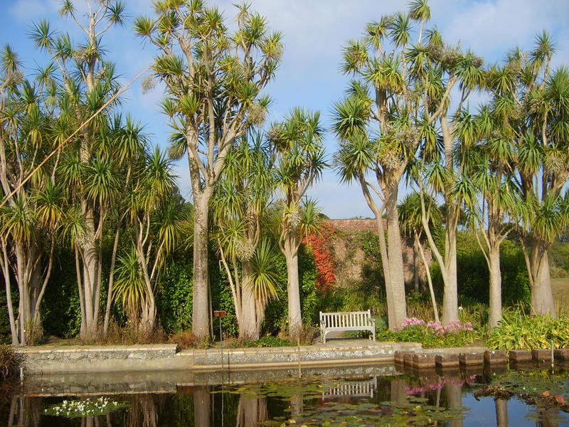 Logan Gardens near Aird Donald Caravan Park, Stranraer